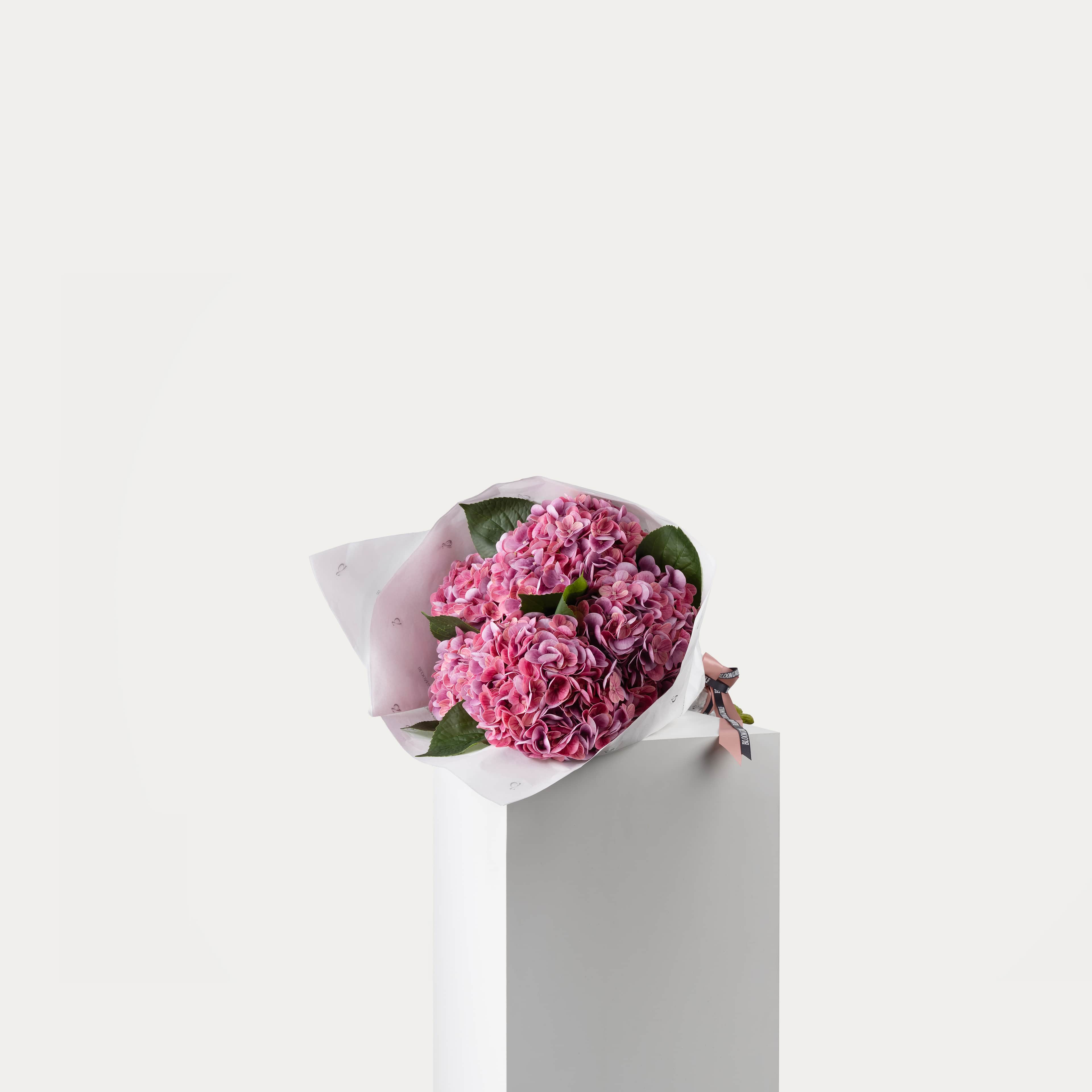 Hydrangea bouquet